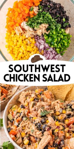 Top: southwest chicken salad ingredients in a bowl before being mixed - corn, beans, chicken, jalapeno, pepper, onion. Bottom: the salad in a bowl with a tortilla chip. Overlay text: Southwest Chicken Salad.