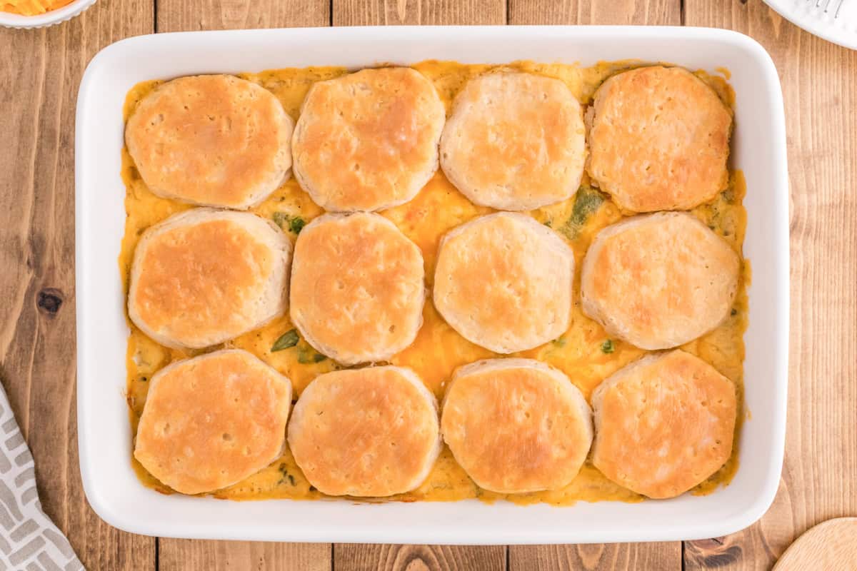 Golden biscuits over creamy chicken casserole with biscuits in a 9 x 13 baking dish.