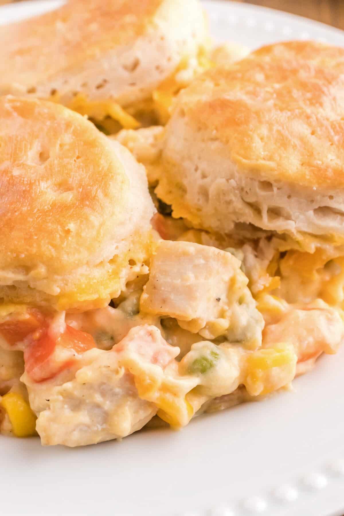 Biscuits over creamy chicken, carrots, corn, and peas on a white plate.