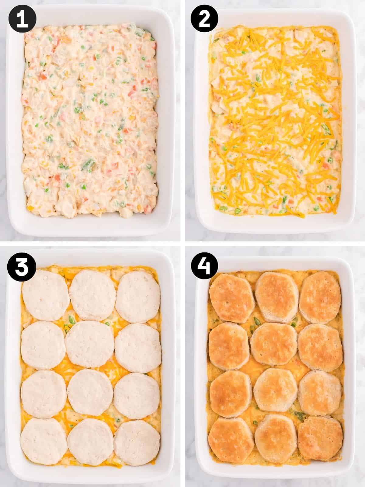 Four steps: creamy chicken filling spread in a dish, topped with cheddar, layered with raw biscuits, then baked golden.
