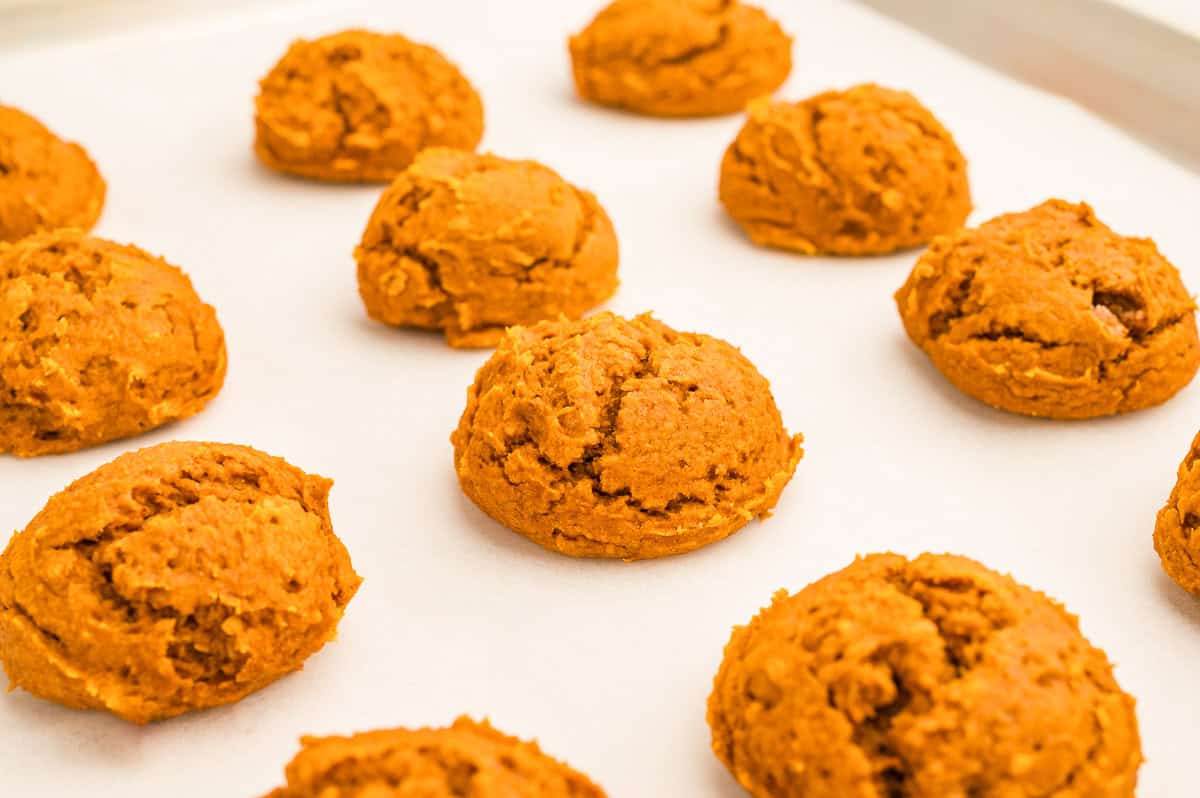 Baked pumpkin cookies spaced out on a parchment lined baking sheet, puffed and rounded.