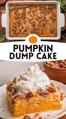Top: the baked cake in a white 9x13 dish. Bottom: a plated square with whipped cream. Overlay text: Pumpkin Dump Cake.